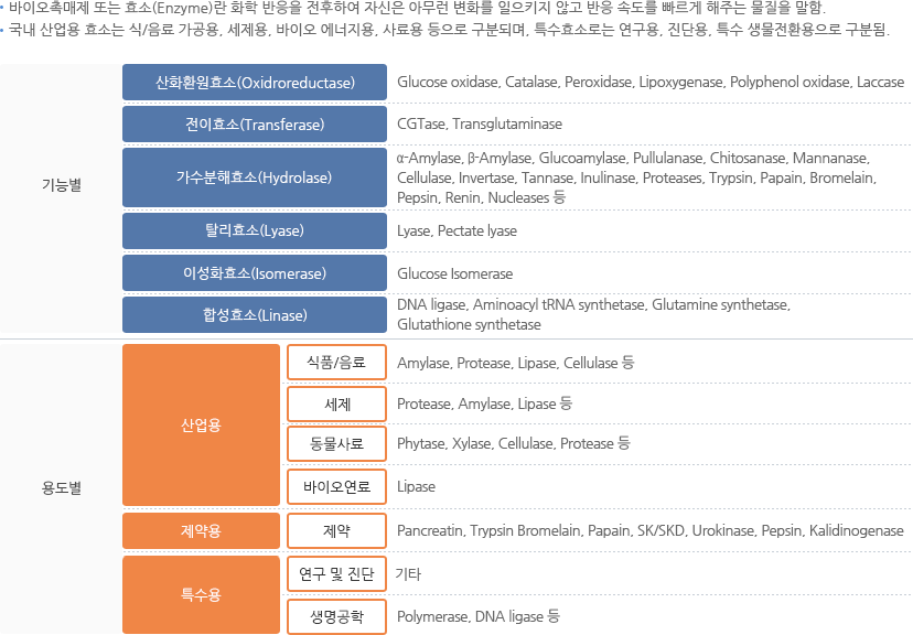 산업용 효소 산업의 개요