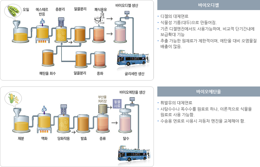 바이오디젤vs바이오에탄올 비교